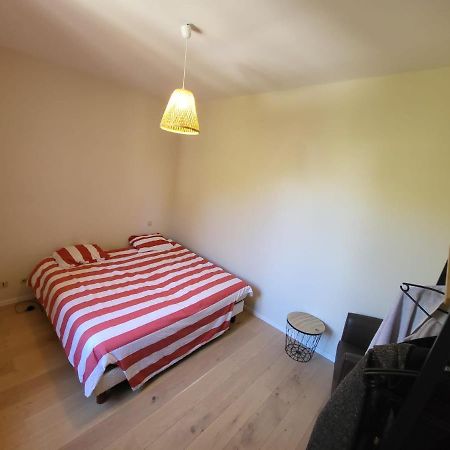 Grande Maison Meublee Tout Equipe Wifi, Tele, Billard - Demeure De 196 M2 A Tain L'Hermitage - 5 Chambres - 17 Couchages Турнон-сюр-Рон Экстерьер фото